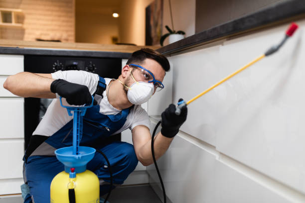 Best Wasp Removal Services  in Oak Hill, OH