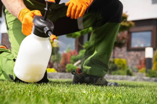 Best Pest Inspection Near Me  in Oak Hill, OH