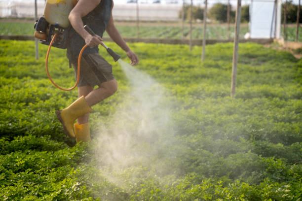 Best Affordable Pest Control Services  in Oak Hill, OH