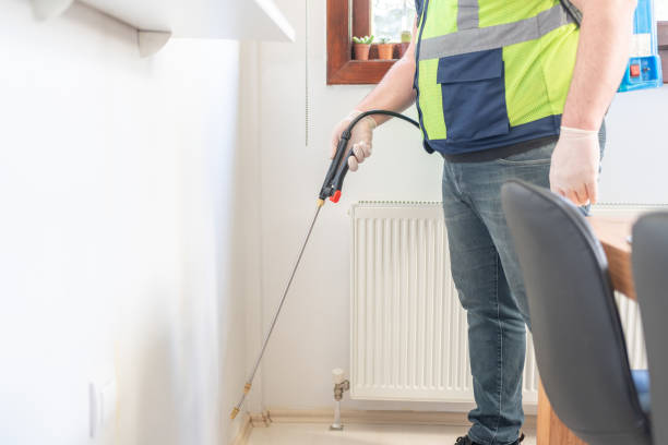 Best Local Pest Control Services  in Oak Hill, OH