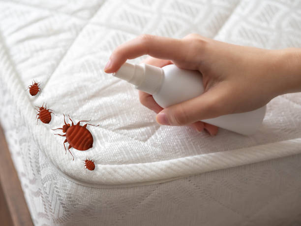 Best Best Pest Control Companies  in Oak Hill, OH