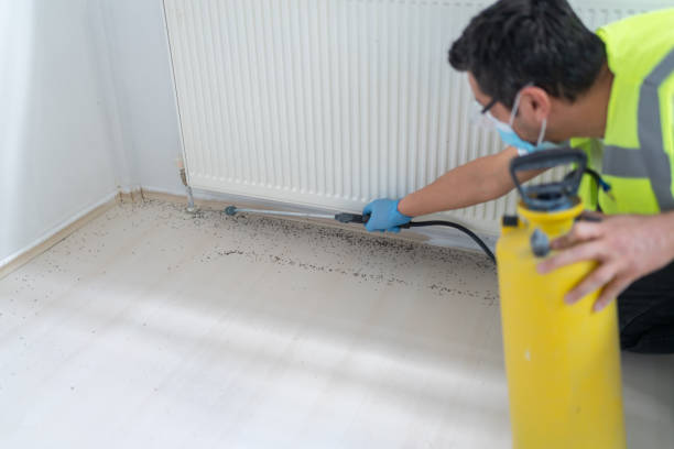 Best Mosquito Control Services  in Oak Hill, OH
